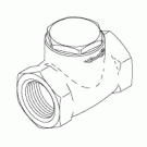 CHECK VALVE (1")