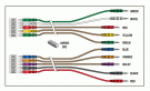 10 LEADWIRE SET - CAM 14/BANANA