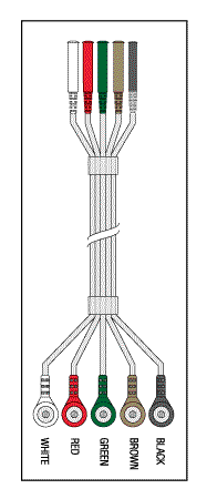 5 LEADWIRE BONDED SET-40" - Click Image to Close